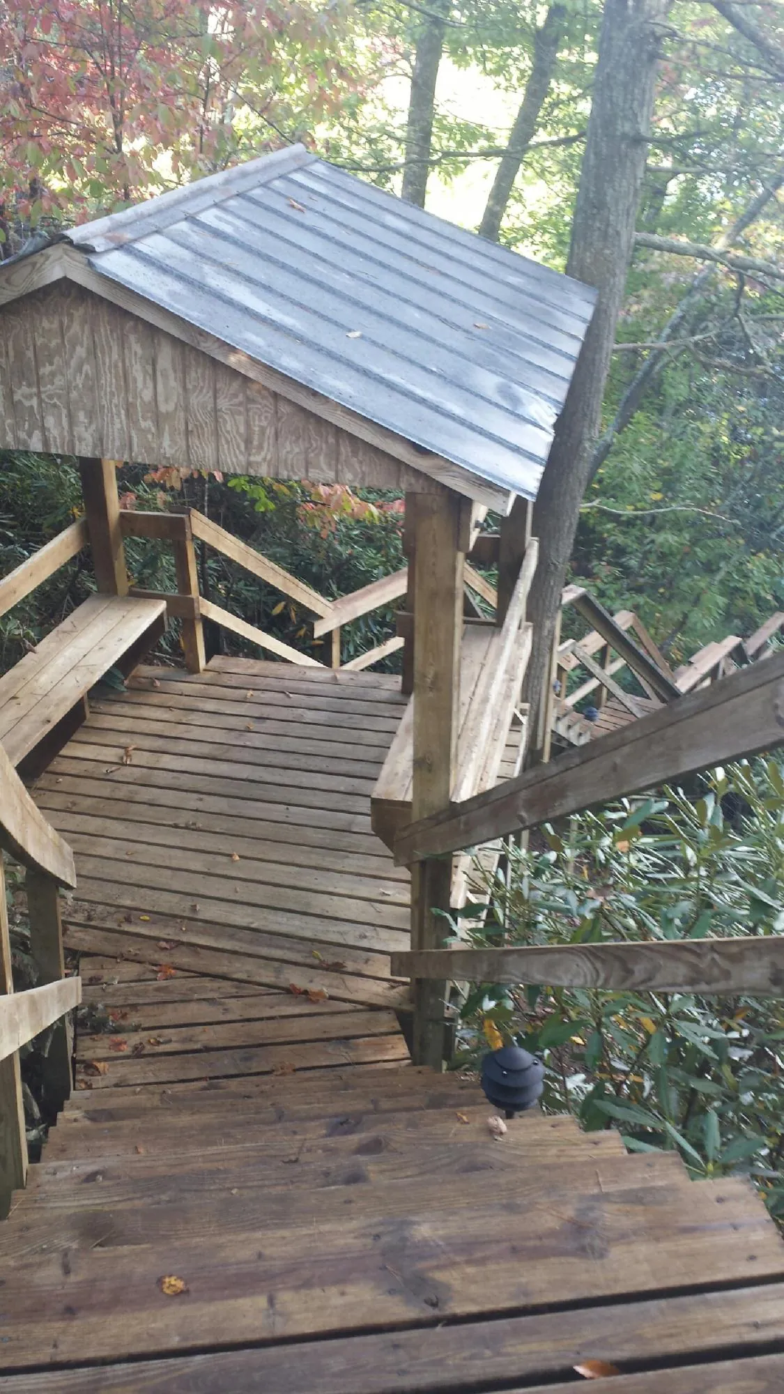 Metal roofed shelter over wooden steps on a wooded walkway — Skylight Repair & Installation work by our crew in Mc Grady