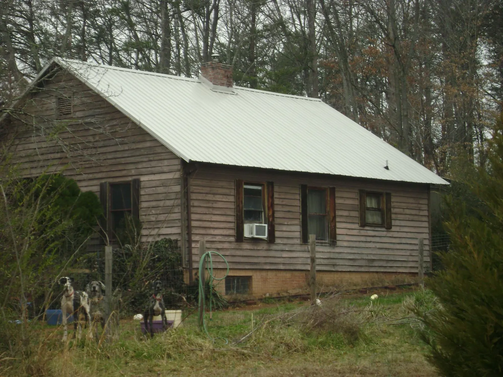 White metal roof on an old wood sided farmhouse, from a Asphalt Shingle Roof Repair job in Mc Grady